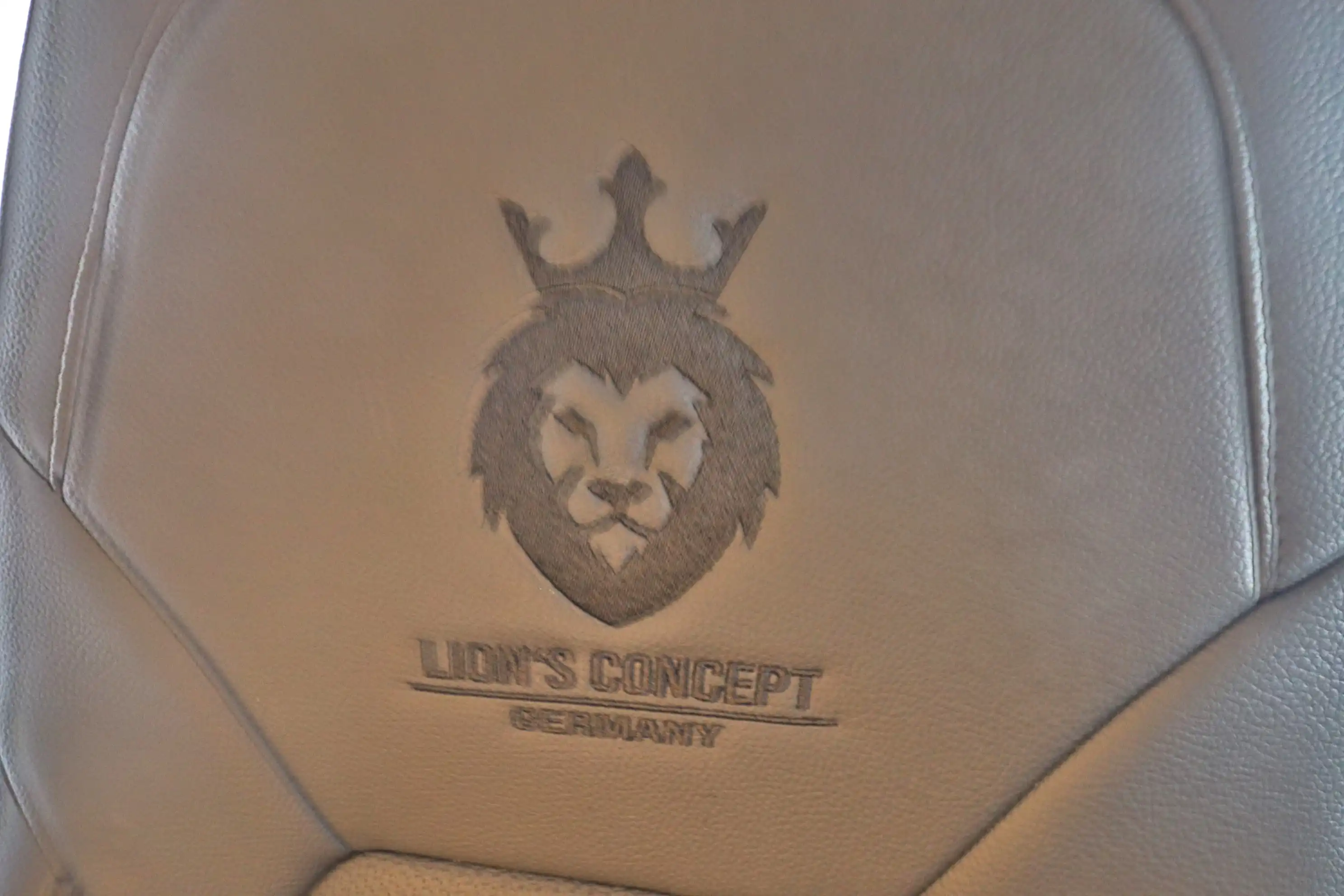 ANDERE Lion`s Concept